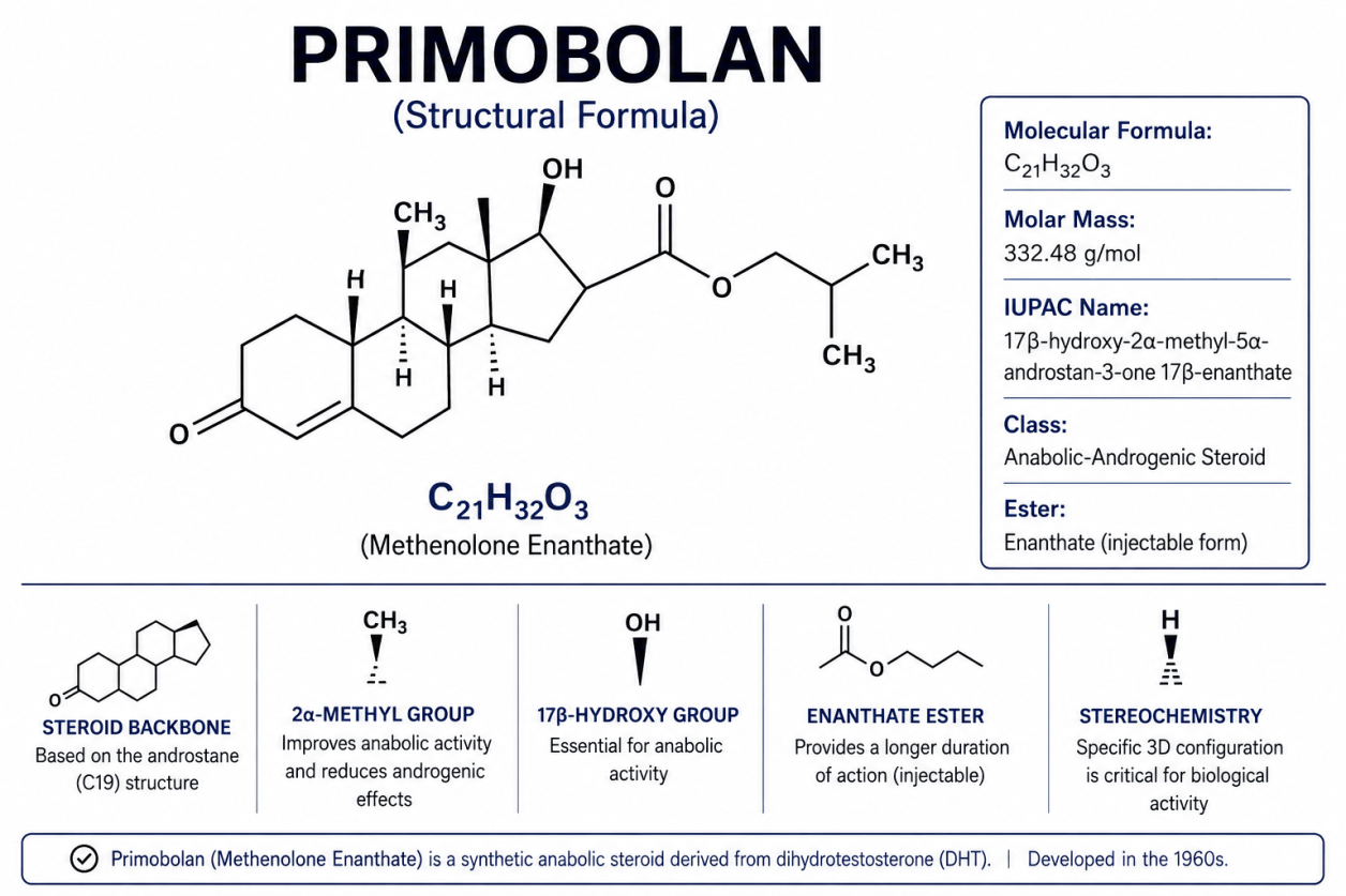 Primobolan (Metenolona) – Información sobre efectos y riesgos en el culturismo